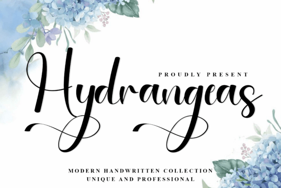 Hydrangeas: A Font That Elevates Your Brand