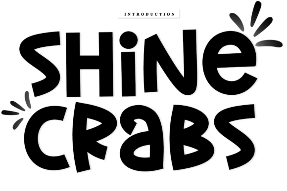 Shine Crabs: A Timeless Script Font for Campaign Creativity