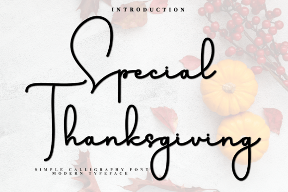 Special Thanksgiving Font for Campaigns That Speak