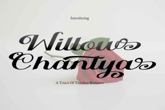 Willow Chantya: A Script Font for Editorial Elegance